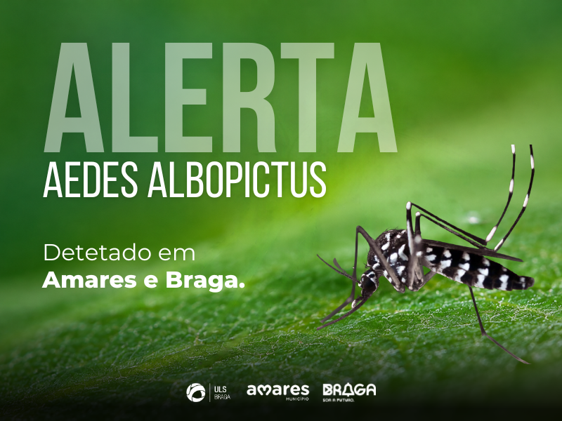 uls-de-braga-Mosquito-tigre em Amares e Braga