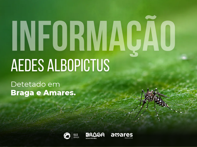 uls-de-braga-Mosquito-Tigre identificado em Braga e Amares